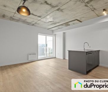 301-5630, Rue de Marseille, Rosemont / La Petite Patrie à louer - Photo 6