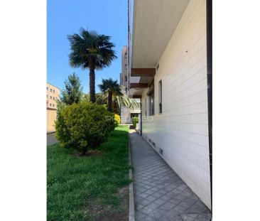 Santa Marinha e São Pedro da Afurada, Vila Nova de Gaia, Porto - Photo 3