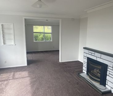 42 Awanui Street,Merrilands - Photo 1