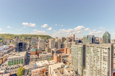 Appartement à louer, Montréal (Ville-Marie) - Photo 4