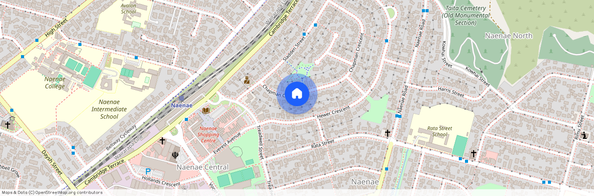 20 Chapman Crescent, Naenae, Lower Hutt City