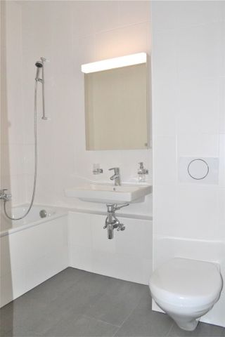 Bord de l'Arve - Foto 2