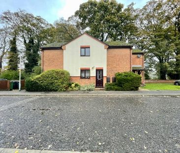 3 bedroom apartment to rent - Photo 4