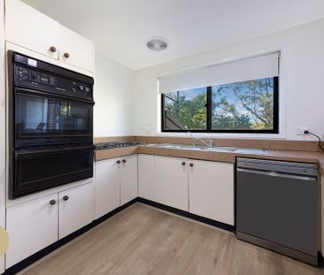 Elevated Family Living in a Quiet, Leafy Asquith Pocket - Photo 6