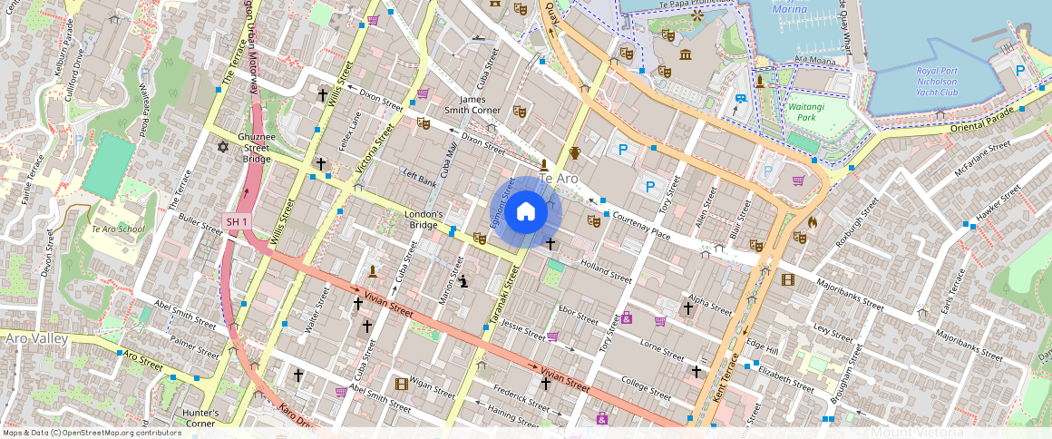 1105/74 Taranaki Street, Wellington Central, Wellington City