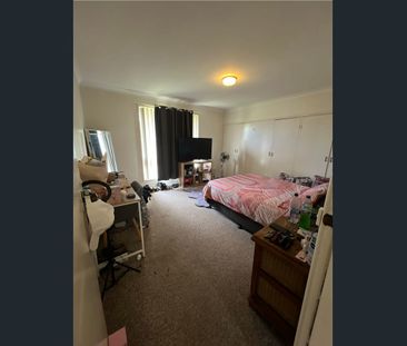 Tidy Two Bedroom Unit - Photo 2