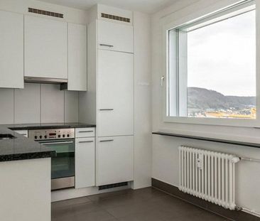 Searching for a wonderful view of Birsfelden - Photo 2