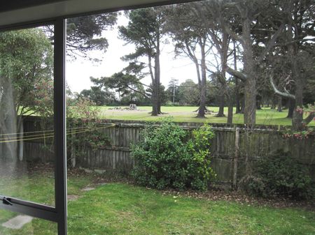 Cute Two Bedroom Unit in a Fantastic Location! - Photo 4