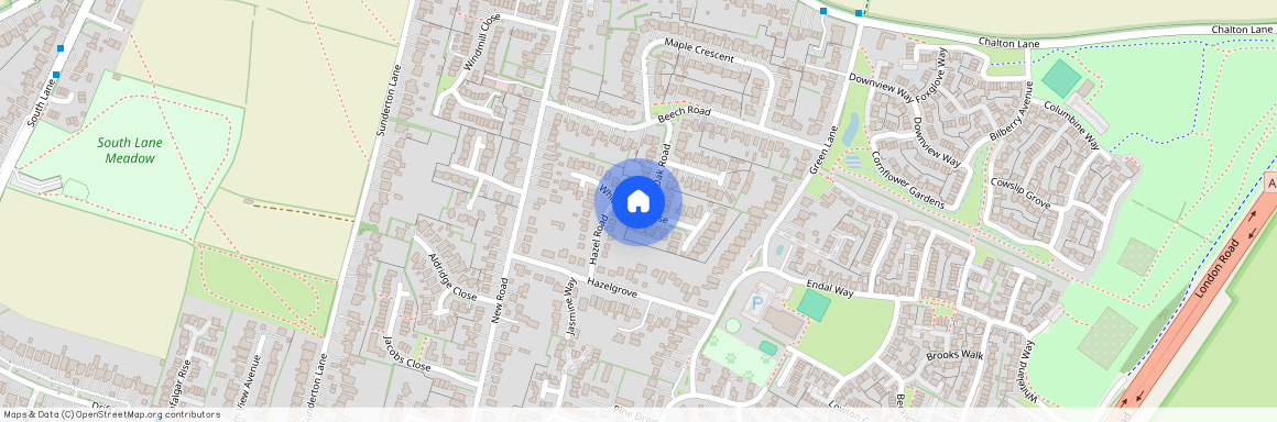 White Beam Rose, Clanfield, Waterlooville