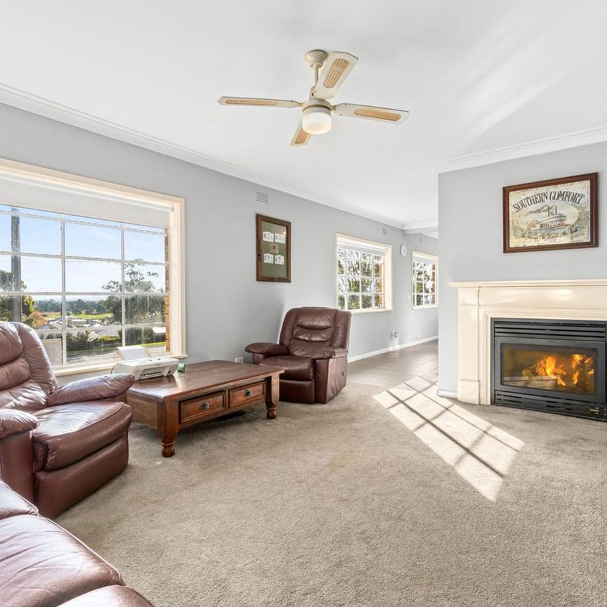 Close To Everything! - Photo 1