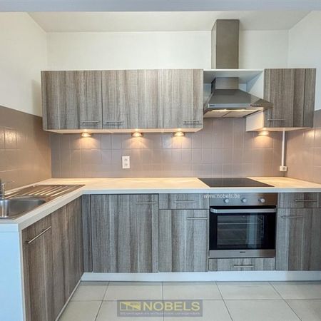 Te huur, energiezuinig 1 slaapkamer appartement nabij centrum Oudenaarde - Photo 4