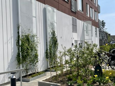 Einar Olssons gata, Ystad - Foto 3