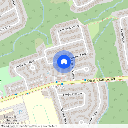 1132 Thimbleberry Circle Unit# Basement, Oshawa