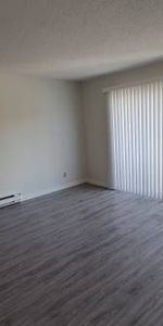 Renovated 1-Bed 1-Bath Unit in Mount Pleasant - Photo 4