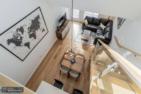 Beautiful and brand-new apartement in Hochelaga-Maisonneuve - Photo 3