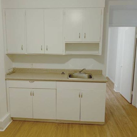 Studio Available October 1st at Ivanhoe Apartments! - Photo 1