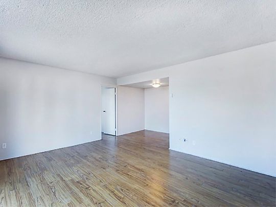 Condo for rent, Montréal (Le Plateau-Mont-Royal) - Photo 1