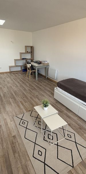 Location Appartement 1 pièce 27m² LILLE 59000 - Photo 1