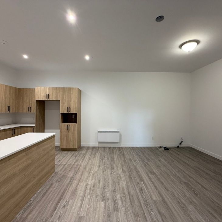 Appartement à louer - Thetford Mines (Thetford Mines) - Photo 1