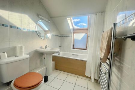 Lower Canal Walk - Photo 5