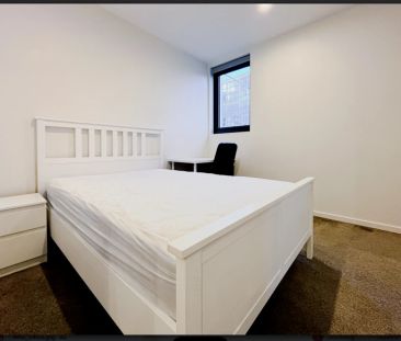 2 bed 2 bath-109 - Photo 4