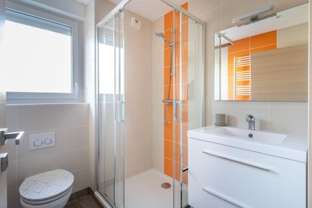 Location Appartement 2 pièces Meublé 35m² ANNECY 74000 - Photo 4