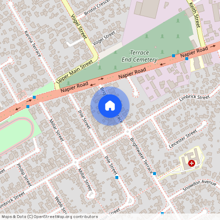 20 Brightwater Terrace, Terrace End, Palmerston North City