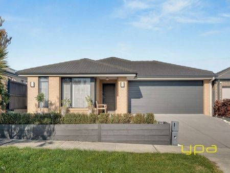 7 Guinea Flower Drive, CRANBOURNE WEST - Photo 5