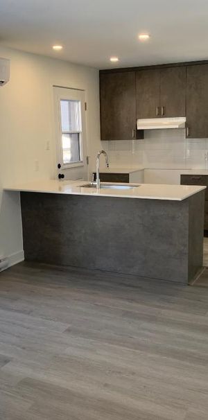 Appartement Grand 3 1/2 à Laval à louer - Photo 1