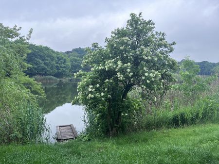 mazowieckie, Warszawa, Ochota, Włodarzewska - Zdjęcie 2