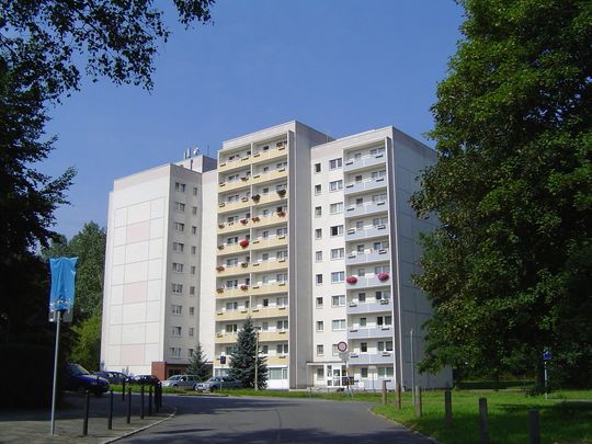 Tolle Familienwohnung mit Balkon - Foto 1