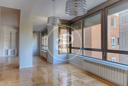 Magnificent flat for rent in El Viso (Madrid) - Photo 2