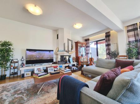 Spectacular unfurnished 4 bedroom Penthouse For Rent - Photo 2