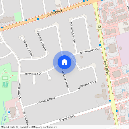 83 Hazelwood Drive Unit# Bsmnt, Newmarket