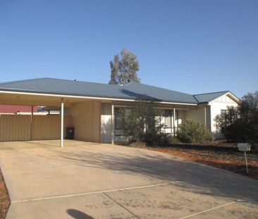 2 Correa Crescent, Roxby Downs, SA 5725 - Photo 2