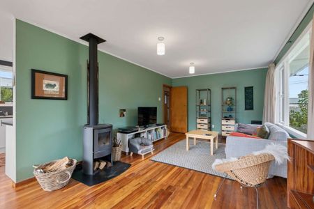 23 Princes Street, Waihi - Photo 4