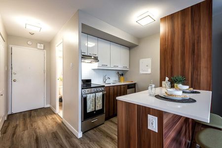 Plateau Mont-Royal - Photo 3