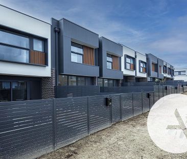 16 Albion St, Googong NSW 2620 - House For Rent | Domain - Photo 5