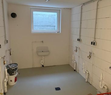 Stilvolle 3-Zimmer-Wohnung in Bobstadt – hell, modern, bezugsfertig - Foto 5