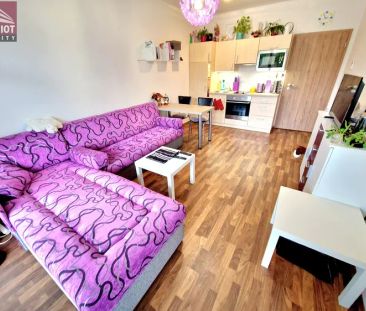 1+kk Janského, Olomouc - Photo 3