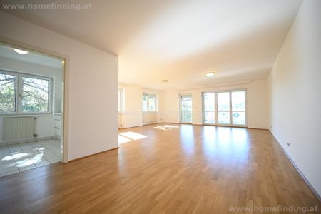VERMIETET: Eigengarten: helle 4-Zimmerwohnung mit Balkon - befristet - Foto 3