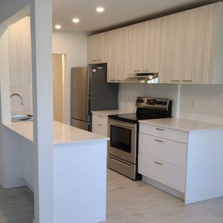 Conifer Place #3 - Photo 4