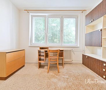 Pronájem bytuRenting an apartment 2+kk, 45 m2 - Photo 3