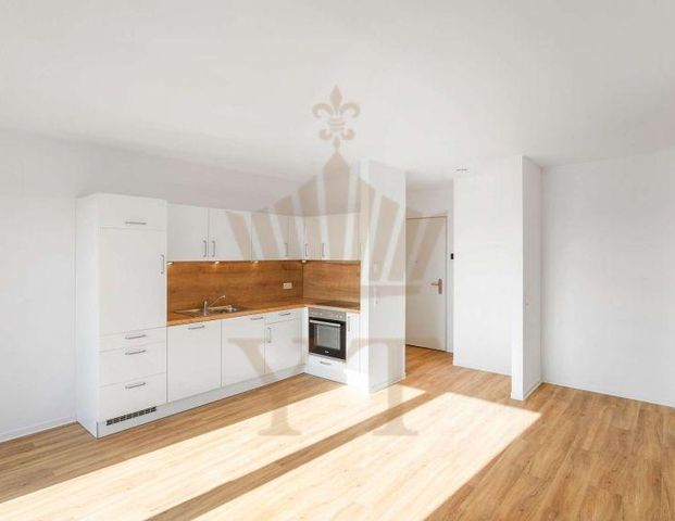 Moderne 2 Zimmer-Wohnung | für Senioren | mit sonniger Süd-Terrasse | in Biesenthal - Photo 1