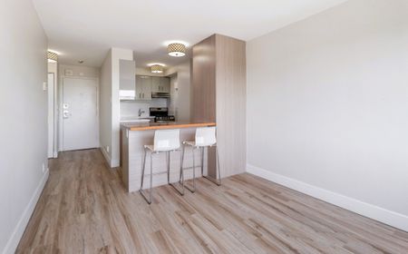 Appartement à louer - Montréal (Le Plateau-Mont-Royal) (Le Plateau-Mont-Royal) - Photo 2