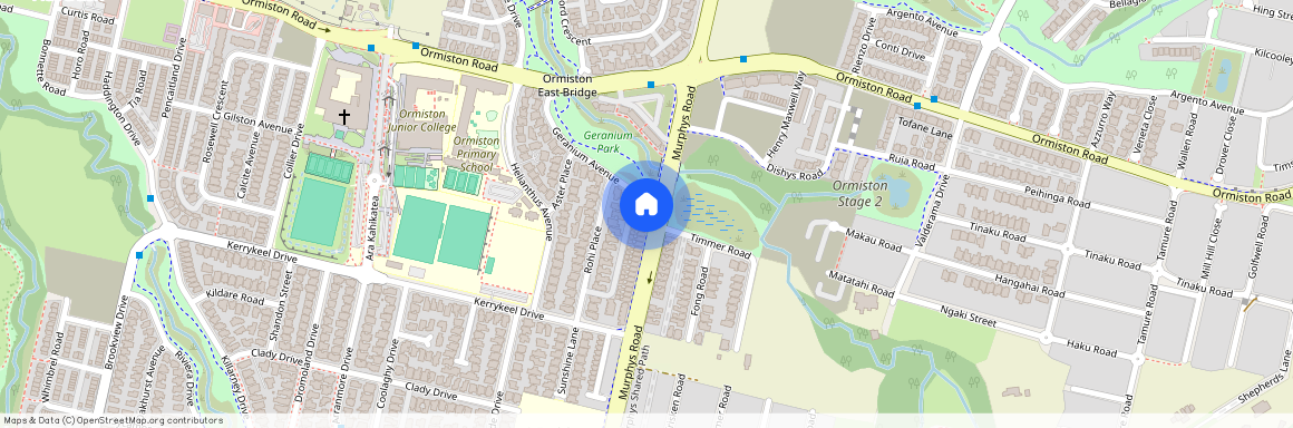 244 Murphys Road, Flat Bush, Manukau City