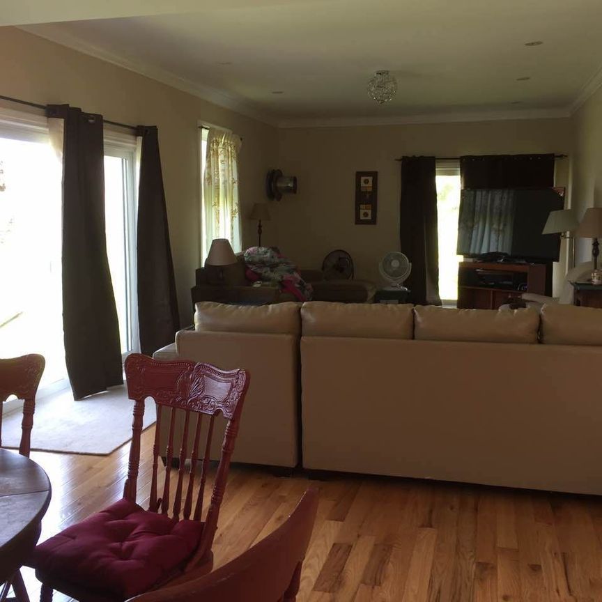 For Lease - 3358 Ravenshoe Road, Georgina, Ontario - Photo 1