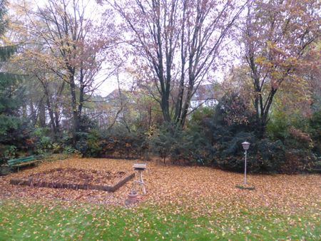 3-Zimmer-Wohnung in Gelsenkirchen Schalke - Photo 4