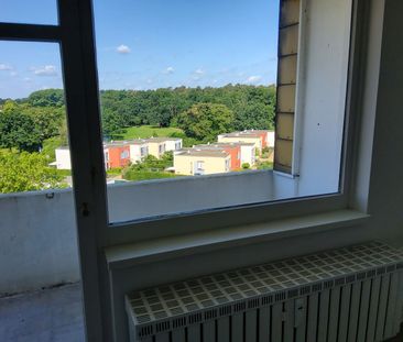 Mit dem Aufzug zur Wohnung // 7.OG Wohnung 3 - Mindestalter 50 Jahre - Photo 4