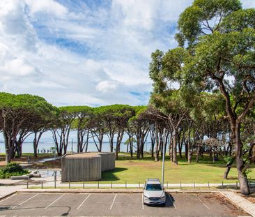 Recently Renovated Two Bedroom Apartment on the Bayside - Photo 5